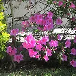 Filigrana Guest house *