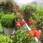 Filigrana Guest house Viana do Castelo