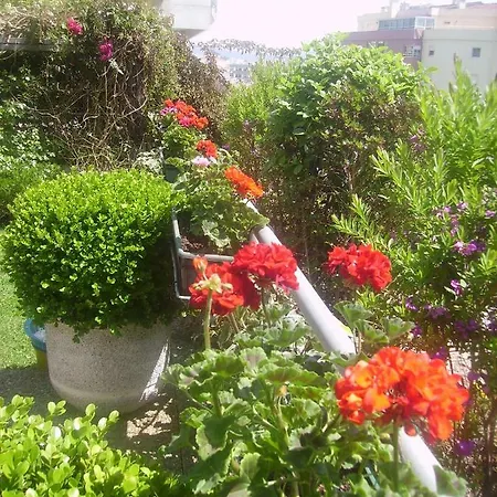 Filigrana Pensión Viana do Castelo