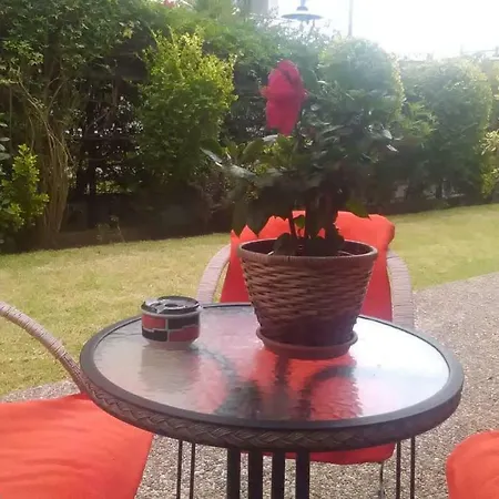 Filigrana Viana do Castelo