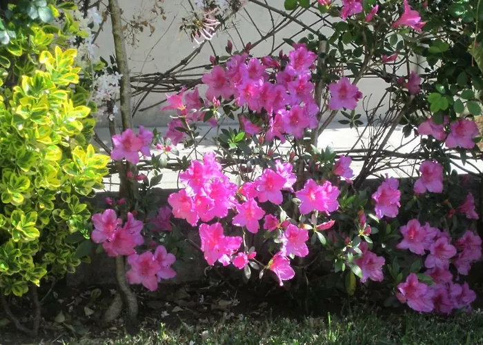 Filigrana بيت ضيافة *