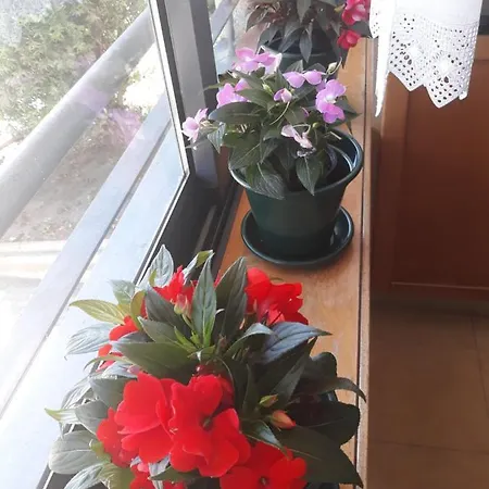 Filigrana Affittacamere