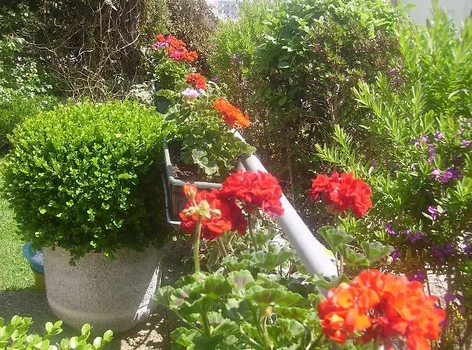 Filigrana Πανσιόν Βιάνα ντο Καστέλο