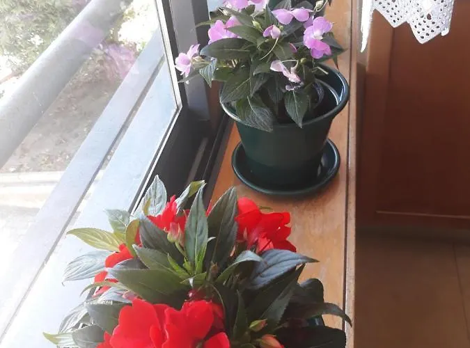 Filigrana Πανσιόν